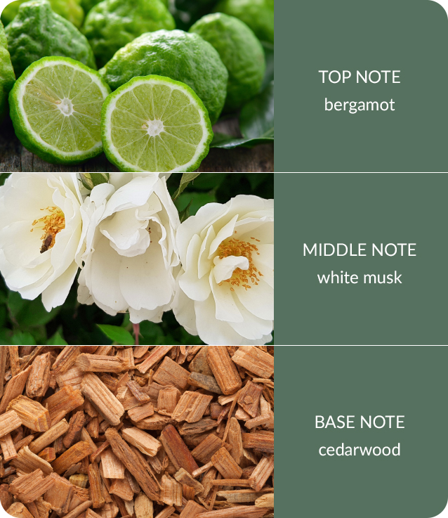 Cedarwood-White-Musk-3.jpg