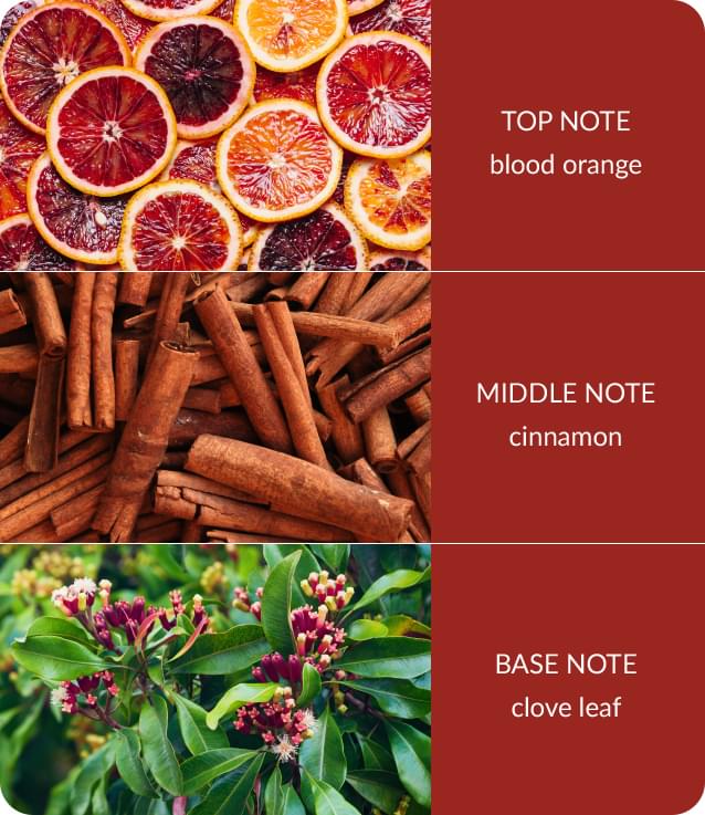 Notes-Orange-Zest-and-Clove-Oil-Medium.jpg