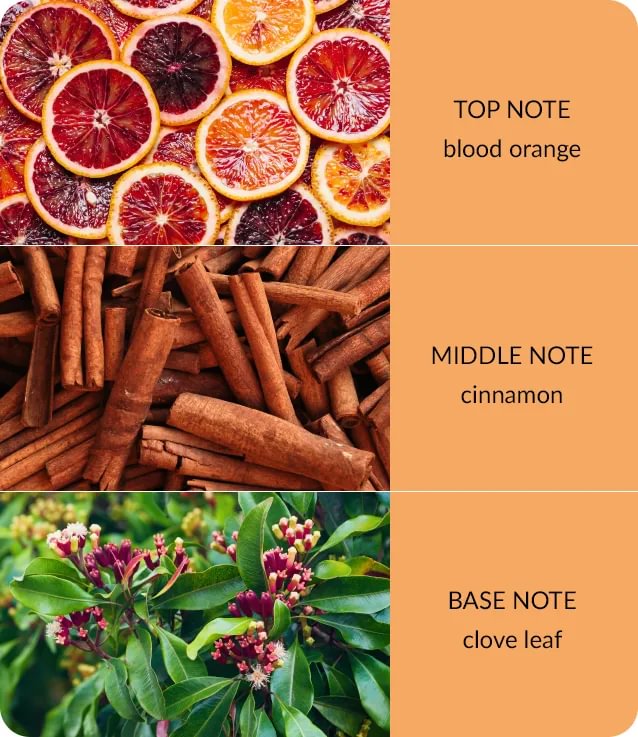 notes-bamboo-orange-zest-cloveoil-medium-2.jpg