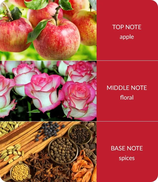 notes-bamboo-spiced-apple-cinnamon-medium-2.jpg