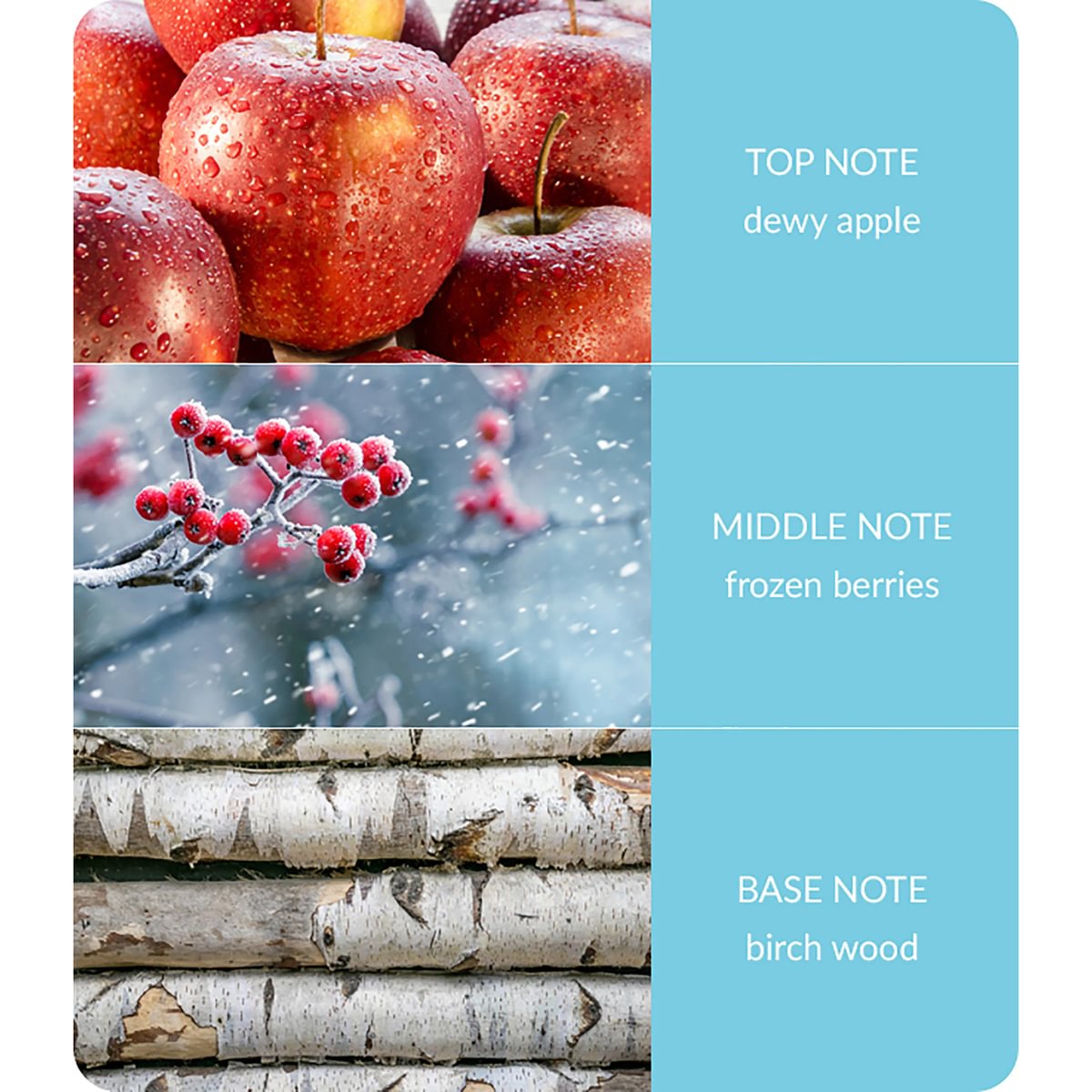 notes-winter-berry-frost-medium.jpg